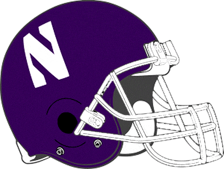 Northwestern Wildcats 1981-1992 Helmet Logo DIY iron on transfer (heat transfer)